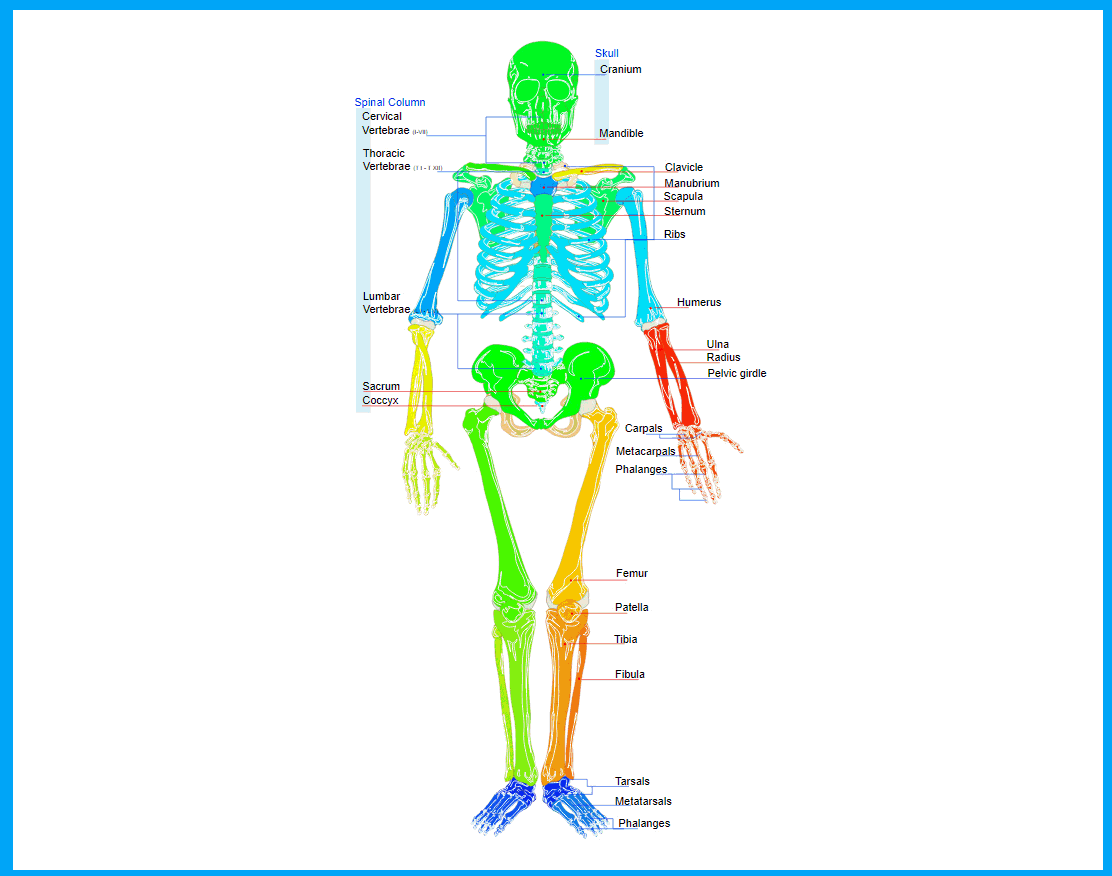 New_Chart_Menu2.gif